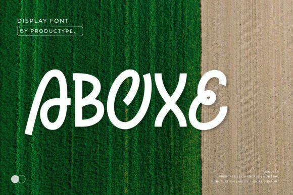 Aboxe: Capturing Summer's Spirit in Every Design